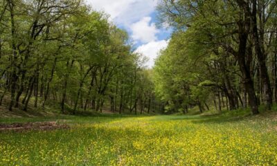 Ανοιξιάτικη εξόρμηση στη Φολόη για τον Ε.Ο.Σ. Καλαμάτας 68