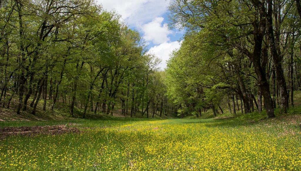 Ανοιξιάτικη εξόρμηση στη Φολόη για τον Ε.Ο.Σ. Καλαμάτας 1