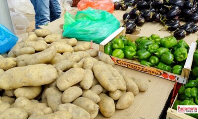 Αλ. Χαρίτσης: «Σε οριακή κατάσταση οι πατατοπαραγωγοί Μεσσήνης – Απαιτούνται άμεσα μέτρα στήριξης και ρύθμισης της αγοράς» 2