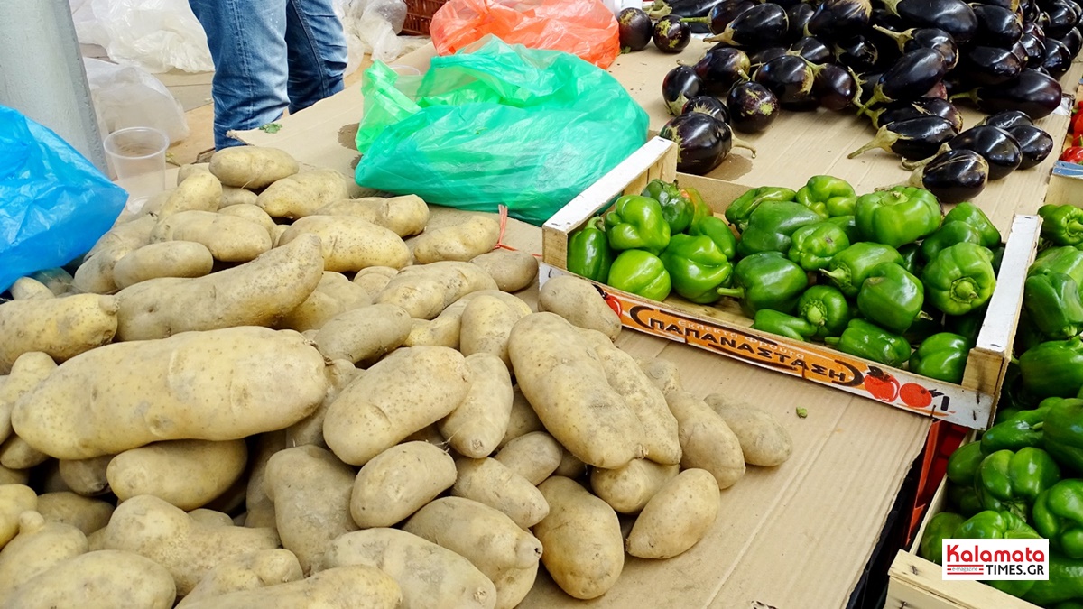 Αλ. Χαρίτσης: «Σε οριακή κατάσταση οι πατατοπαραγωγοί Μεσσήνης – Απαιτούνται άμεσα μέτρα στήριξης και ρύθμισης της αγοράς» 1