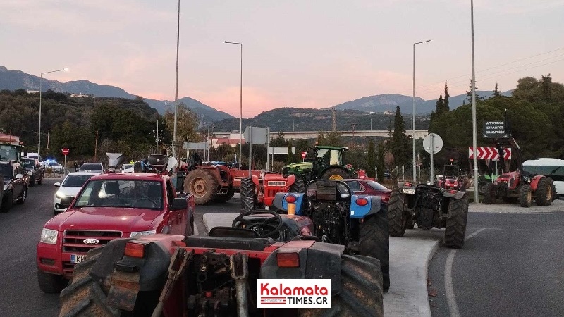 Αγρότες της Πελοποννήσου σε απόγνωση μετά τον παγετό – Ζητούν άμεσες αποζημιώσεις και μέτρα στήριξης 3