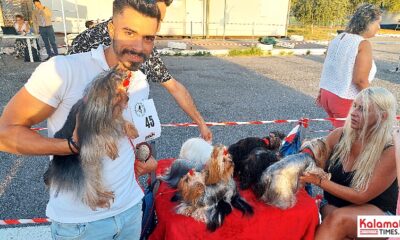 Η «Λευκή Νύχτα» ξεκινά από τη διεθνή έκθεση σκύλων στο Πάρκο Κυκλοφοριακής Αγωγής 80