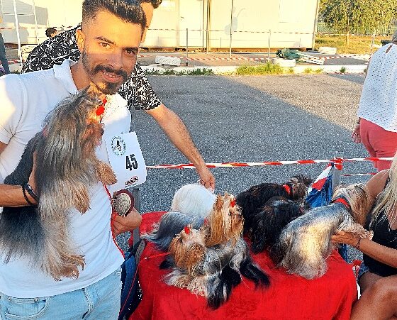 Η «Λευκή Νύχτα» ξεκινά από τη διεθνή έκθεση σκύλων στο Πάρκο Κυκλοφοριακής Αγωγής 2