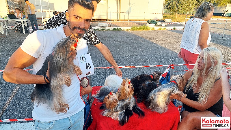Η «Λευκή Νύχτα» ξεκινά από τη διεθνή έκθεση σκύλων στο Πάρκο Κυκλοφοριακής Αγωγής 5