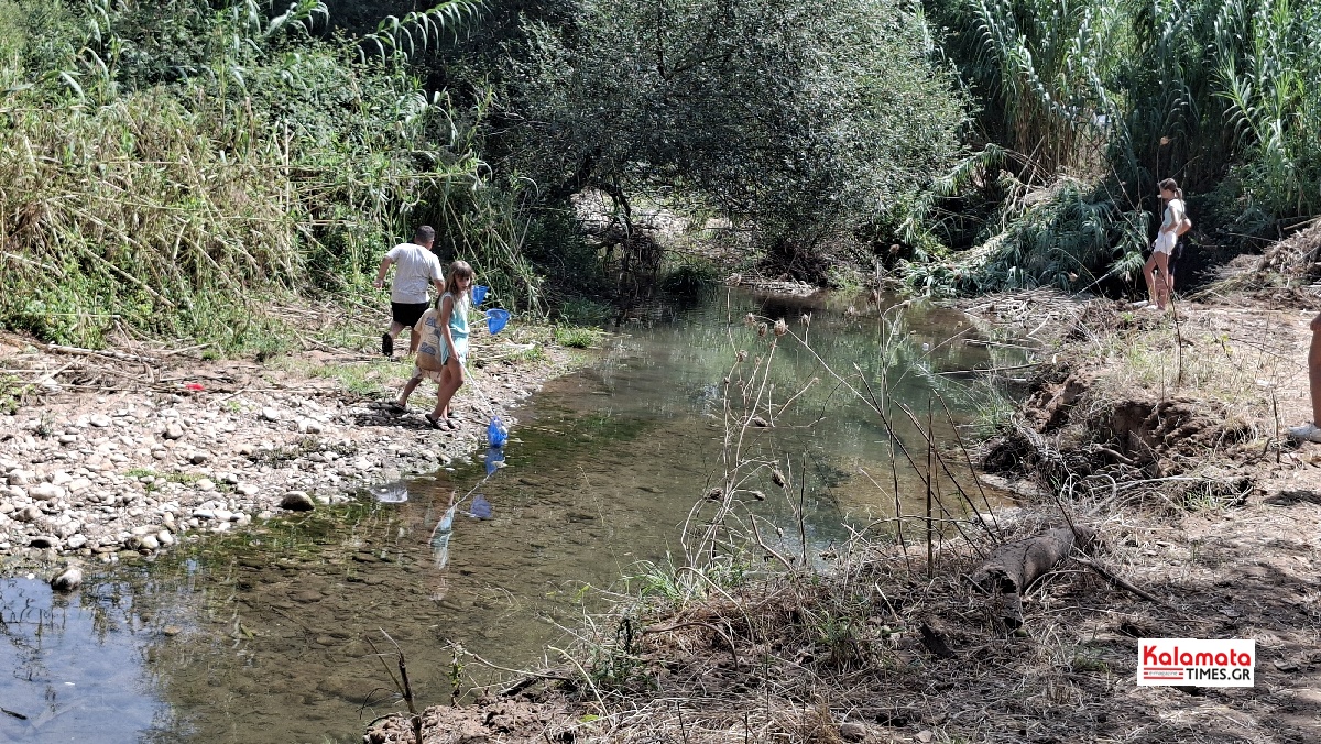 Με ιδιαίτερη επιτυχία η εκδήλωση «Κάτω στο ρέμα» στον Νερόμυλο (βίντεο) 49