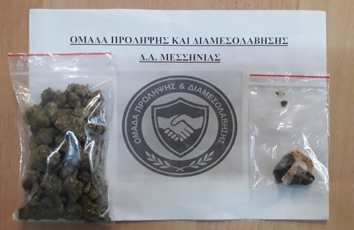 Μεσσηνία: 13 συλλήψεις σε εκτεταμένη αστυνομική επιχείρηση 3