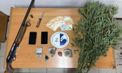 Μεσσηνία: Εντοπίστηκε φυτεία με 280 δενδρύλλια κάνναβης με προσδοκώμενα κέρδη 360.000 ευρώ 15