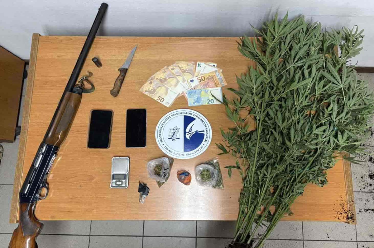 Μεσσηνία: Εντοπίστηκε φυτεία με 280 δενδρύλλια κάνναβης με προσδοκώμενα κέρδη 360.000 ευρώ 7
