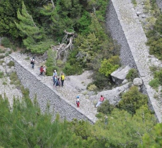 Ε.Ο.Σ. Καλαμάτας πραγματοποιεί πεζοπορία στο Μπίλιοβο και στο Φαράγγι του Ριντόμου 2