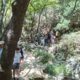 Λαϊκή Συσπείρωση για Πολυλίμνιο: «Να σταματήσουν να παίζουν με την ασφάλεια των επισκεπτών» 80