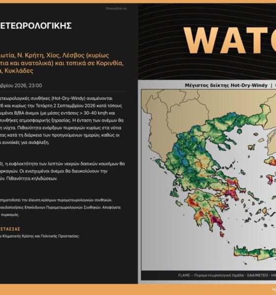 Μεσσηνία: Συνεργασία FLAME και Ο.Α.Κ. με εξειδικευμένες προγνώσεις για τις δασικές πυρκαγιές 1