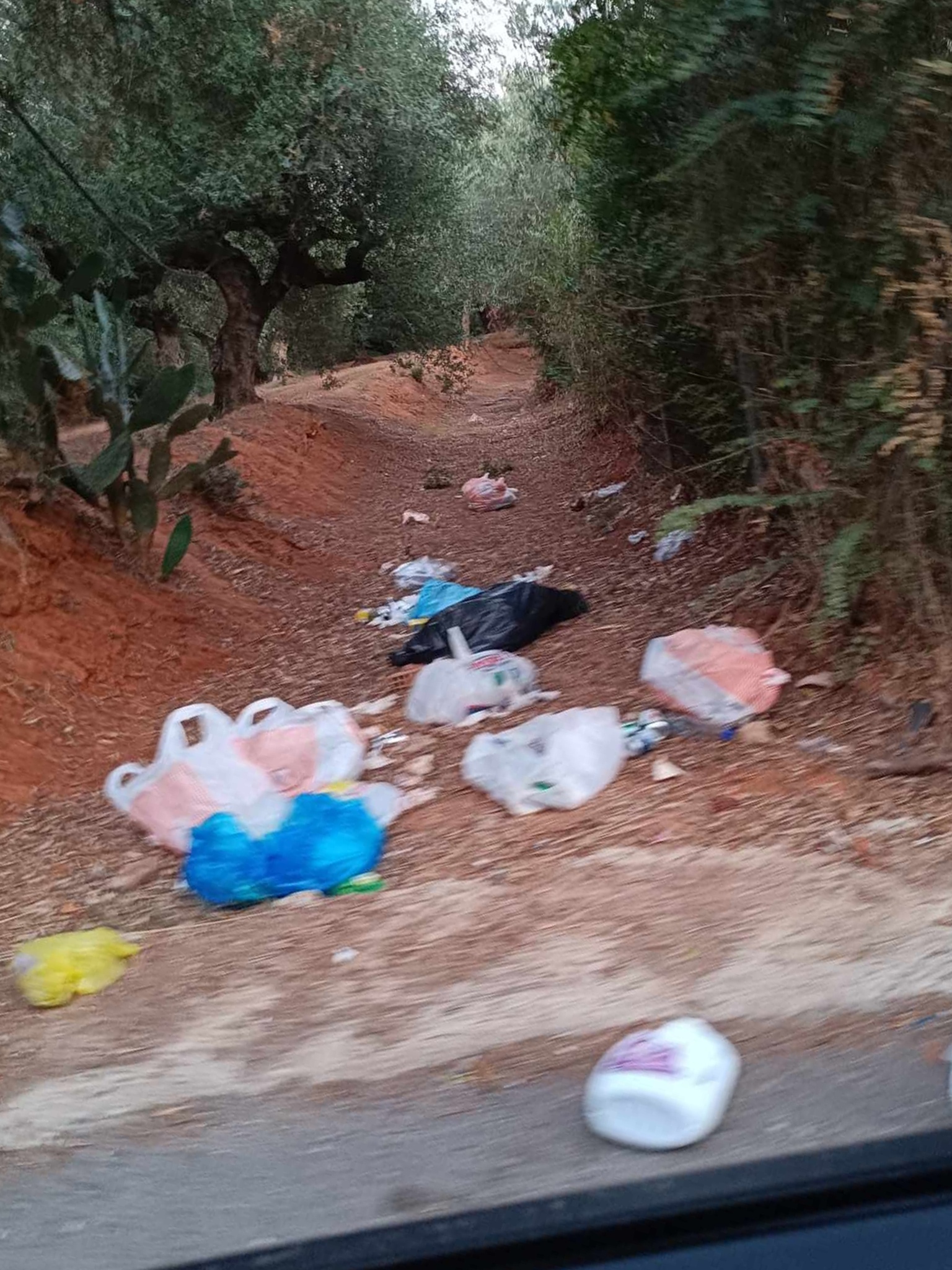 Καλαμάτα: Εικόνες ντροπής στα Σπιτάκια Λεΐκων – Η φύση πνίγεται στα σκουπίδια 7
